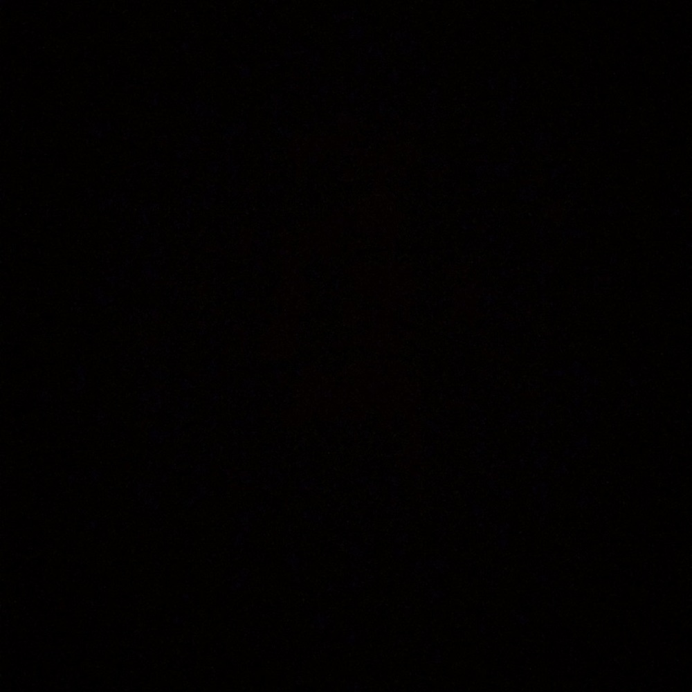 Meet your Posher, Daniela